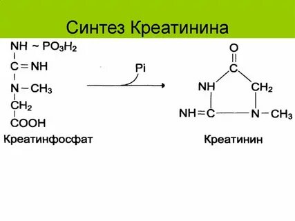 Креатинин это простыми словами