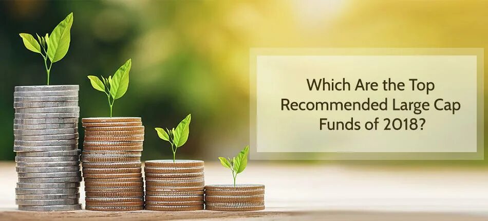 Реклама инвестиционных компаний. Bluebay asset management. Венчурный капитал фото. Funds five. Целевые бюджетные фонды картинки.