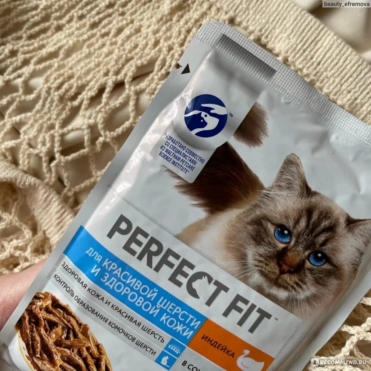 Корм перфект фит 650 гр. Перфект фит для чувствительного пищеварения влажный корм. Перфект фит индейка. Perfect fit sensitive сухой. Перфект фит для чувствительного пищеварения корм для кошек.