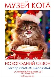 Минск 31 декабря