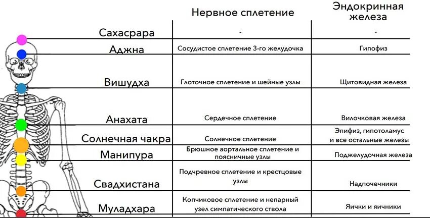 Еда и солнечное сплетение