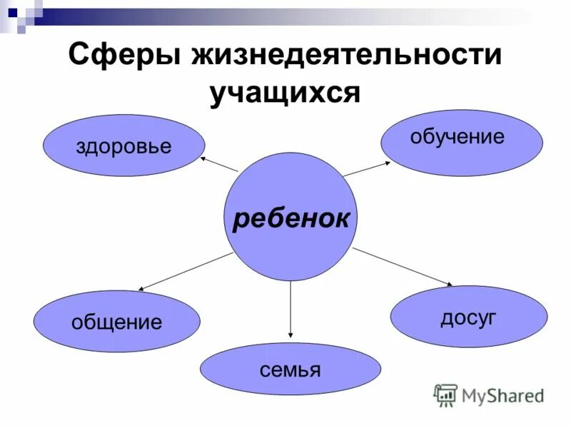 сферы жизнедеятельности семьи. функции семьи не связаны с удовлетворением различных потребностей. сферы жизнедеятельности семьи. сферы жизнедеятельности семьи. сферы жизнедеятельности семьи.