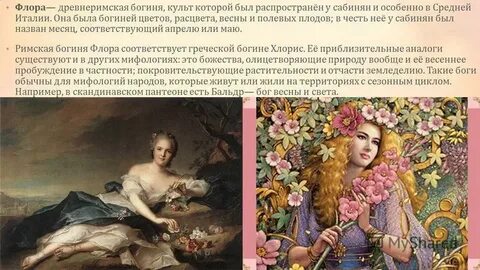 Понятие флоры