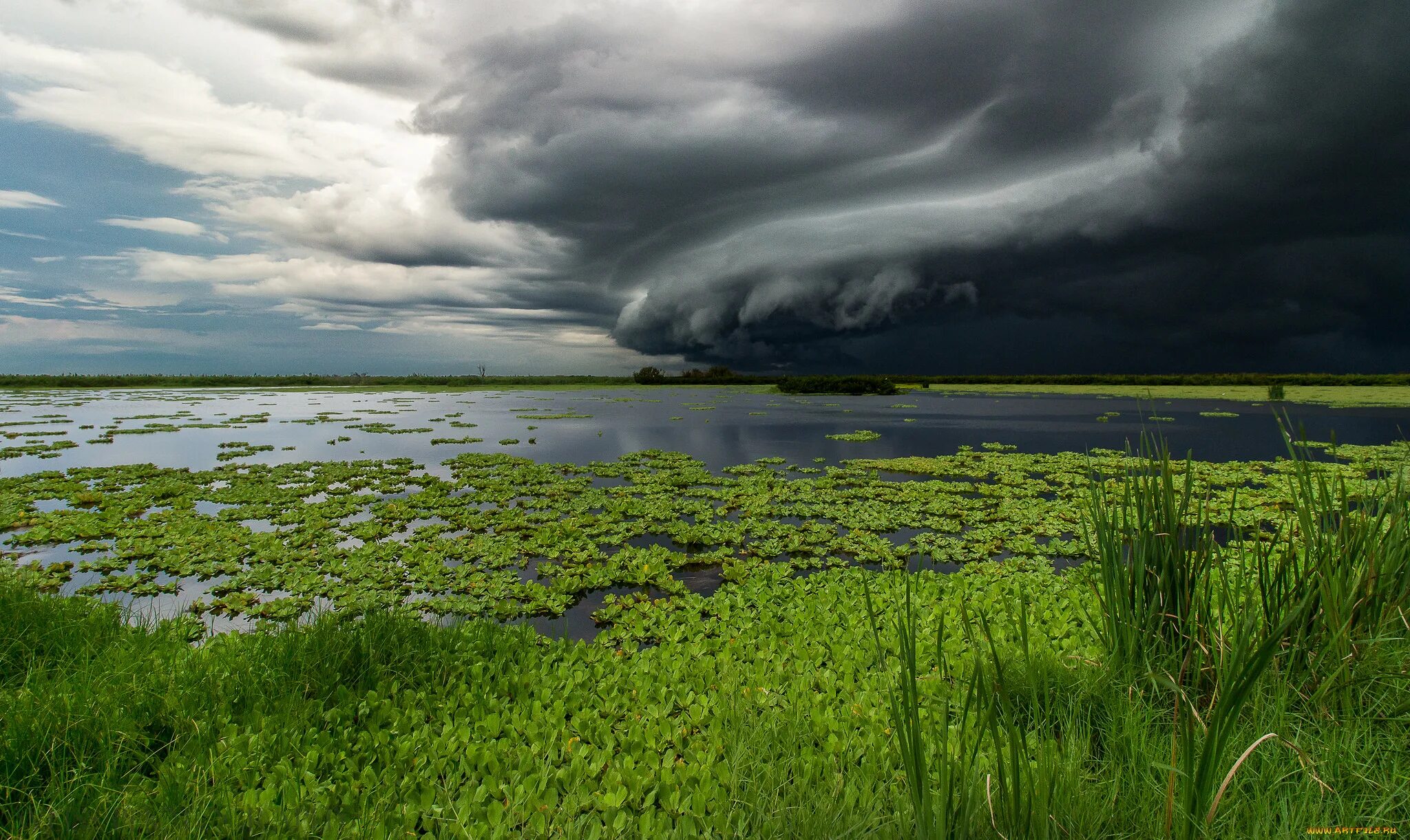 Озеро туча. Озеро туча. Грозовые тучи над озером. Озеро туча. Озеро туча.