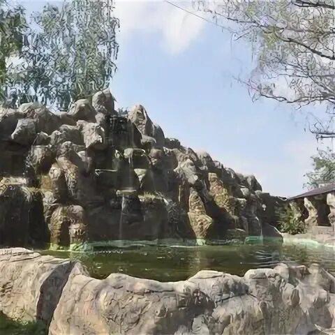 Оазис московская область