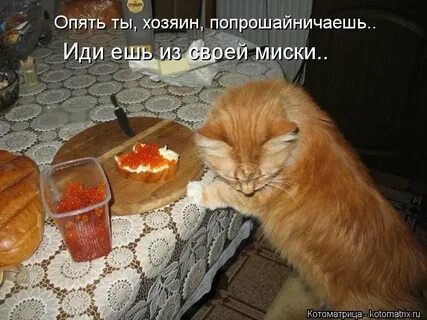 Хорошо съем