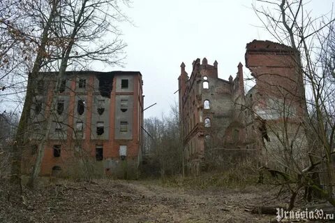 Погода корнево калининградская