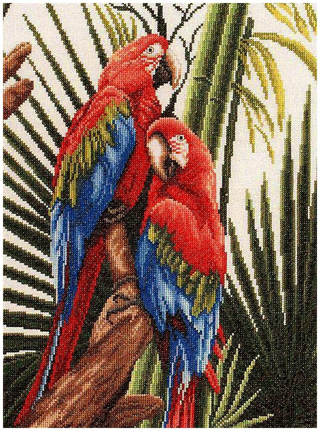 вышивка крестом попугай ара. вышивка попугаи крестиком. риолис неразлучники схема. вышивка дмс eva rosenstand попугаи. вышитые попугаи.