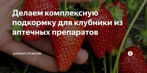 Подкормка клубники весной борной кислотой и йодом
