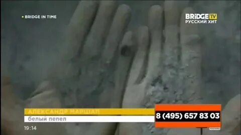 Bridge tv эфир