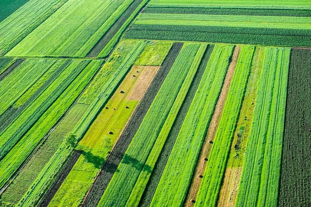 Саксония зеленые поля. Бескрайние поля. Поле вид сверху. Зеленое поле. Зеленое поле.