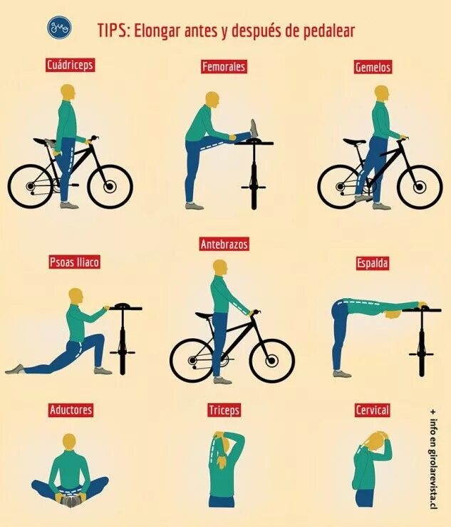 Приложение для езды на велосипеде. Тренировка на велосипеде. Упражнение велосипед. Велосипед группы мышц. Упражнения для велосипедистов.