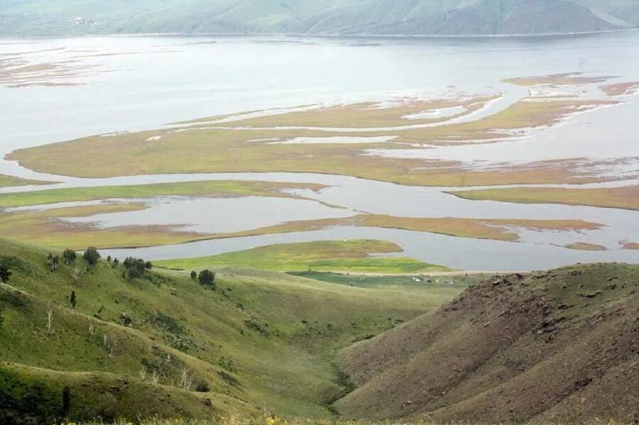 Река бассейна восточно сибирского моря