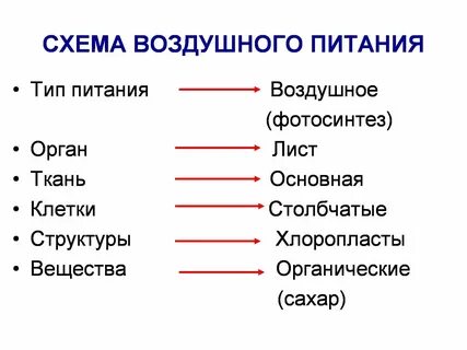 Зеленый лист орган воздушного