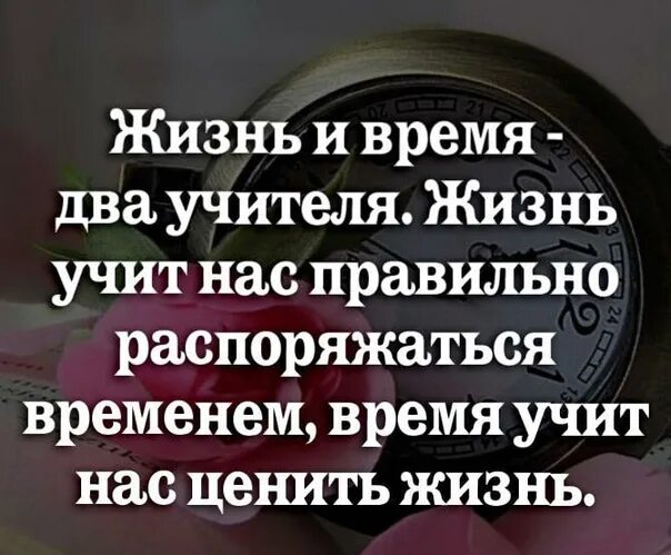 Почему мудро распоряжаться своим временем. Жизнь и время два учителя жизнь. Время учит нас ценить жизнь. Жизнь и время два учителя жизнь учит. Жизнь нас учит.