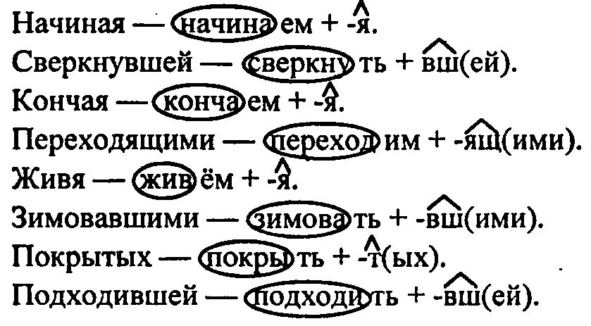 Упр 528 6 класс 2 часть. Виды деепричастий. Деепричастие 6 класс Разумовская.