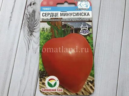 Помидор минусинское сердце