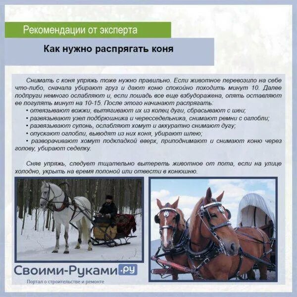 Как правильно запрягать лошадь. Книги по запряганию лошади. Оглобельно дуговая упряжь. Распрягать лошадь.