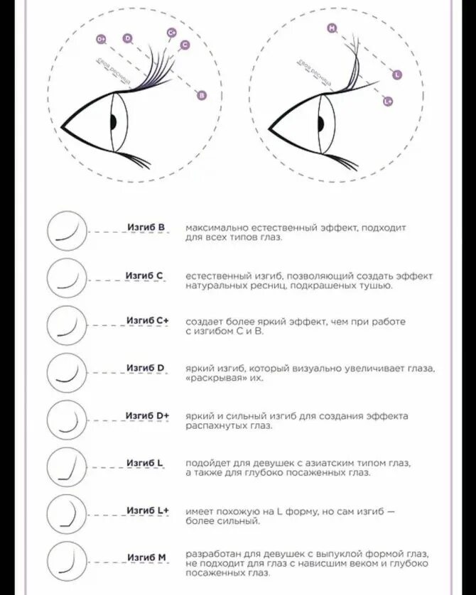 Как подобрать ресницы по форме глаз. Схема толщин и изгибов ресниц. Схема длина толщина изгиб ресниц. Схемы изгибов нарощенных ресниц. Виды наращивания ресниц схемы.