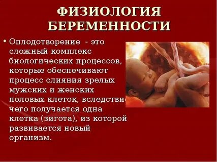 Развитие плода физиологическое
