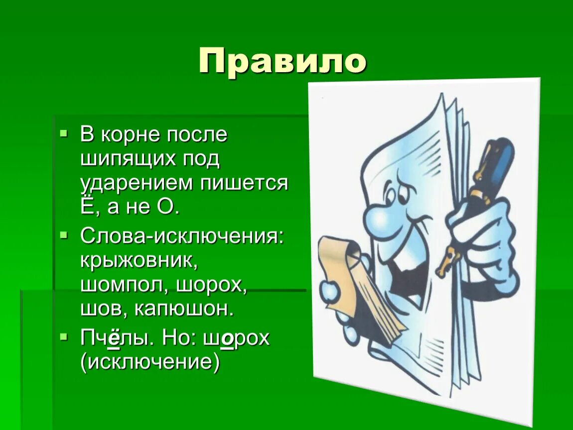 Шов крыжовник капюшон. Шомпол шорох шов капюшон. Крыжовник шомпол шорох шов капюшон. Шорох правило. Шов шорох капюшон правило.