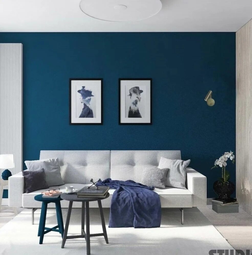 Темный пол голубые стены. Синяя стена. Синие стены белая мебель. Интерьер в сине белых тонах. Серый и синий в интерьере.