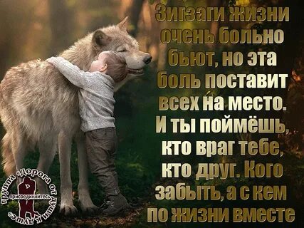 Правда боль