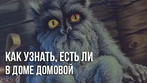 По какому каналу будет домовой
