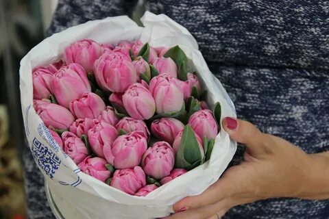 Пионовые тюльпаны