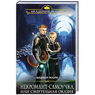 Мир книги некромант