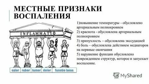 Местные и общие признаки воспаления