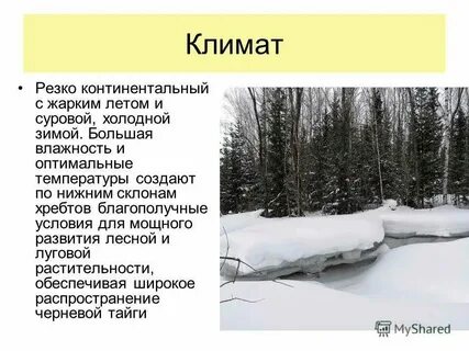 Климат выделяет 2 типа погоды