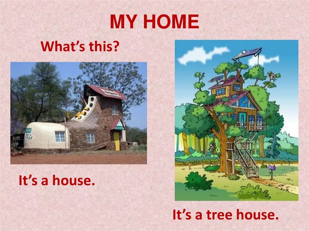 Tree House спотлайт 2. My Home 2 класс. My Home 2 класс Spotlight. Спотлайт 2 класс дом на дереве. House wordwall spotlight