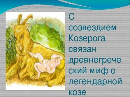 2 козерога