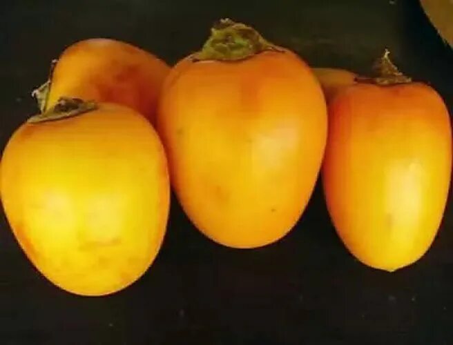 Фрукт желтый похож. Желтый фрукт похожий на помидор. кокона фрукт. мафаи.