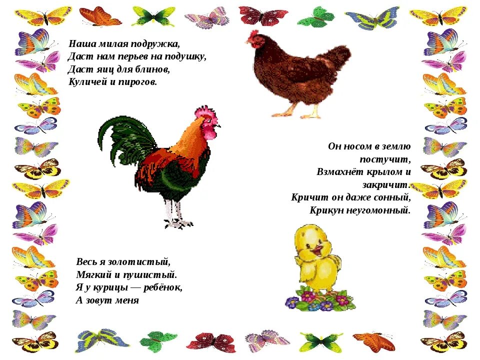 Загадки для детей 3 лет про животных. Загадки про домашних птиц для дошкольников. длррмашние птицы загадки. загадки про домашних животных. загадки про домашних животных для детей.