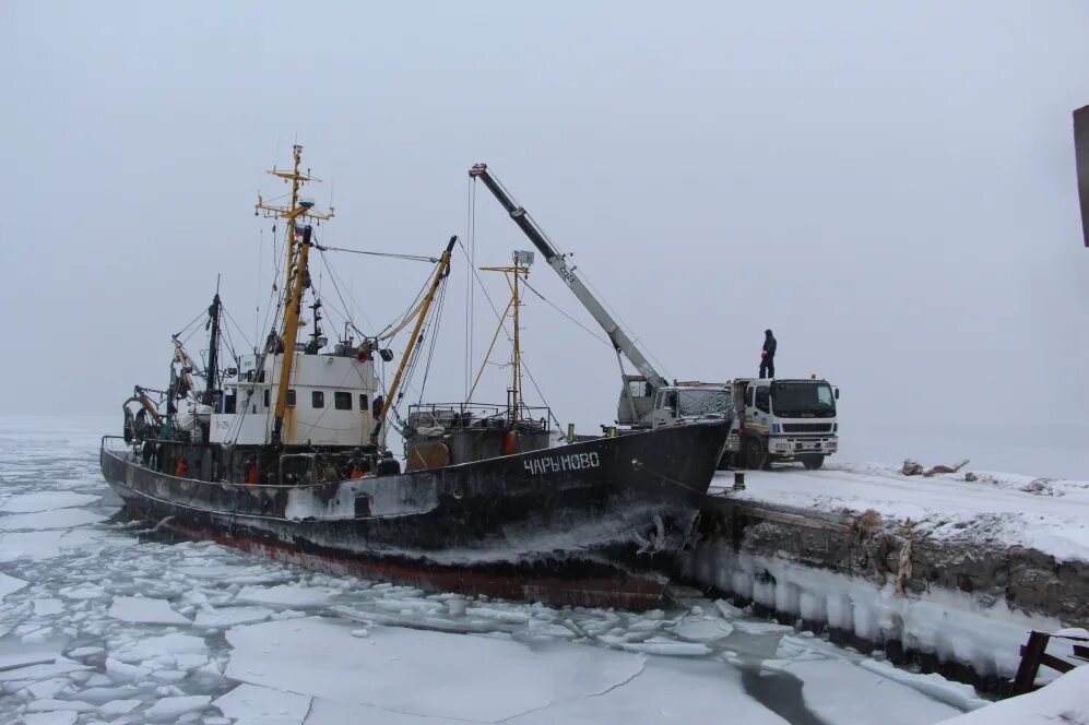 Сейнер Чарымово. Сейнер РС-300 Петропавловск-Камчатский. Сейнер МРС 80. РС 150 рыболовный сейнер. Прибрежный лов