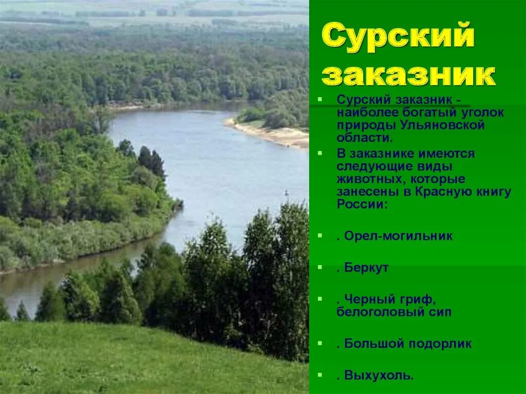 Водные богатства ульяновской области. Сурский заказник Ульяновской области. Сурские вершины Ульяновской области заказник. Заповедники Ульяновской области. Заказники Ульяновской области.