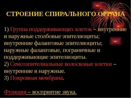 Орган поддержит