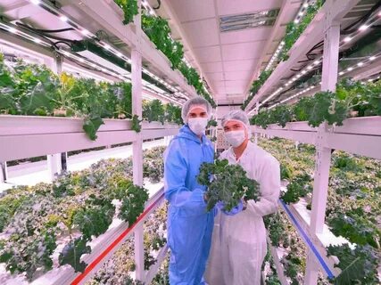 Go farming