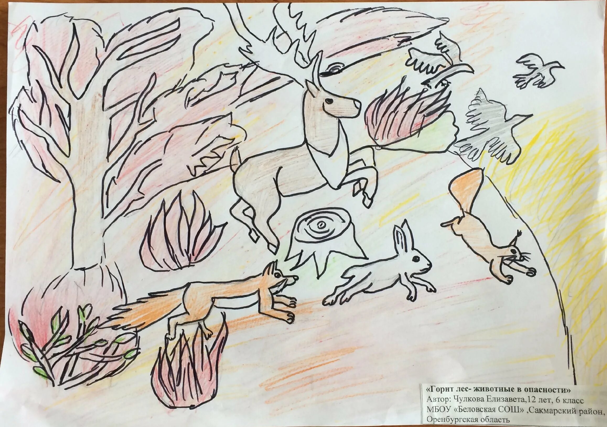 Плакат берегите животных 3 класс рисунок карандашом. Рисунок на тему животные в опасности. Плакат животные в опасности. Рисунок на тему берегите животных для срисовки. Нарисовать животные в опасности.