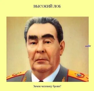 Брови брежнева