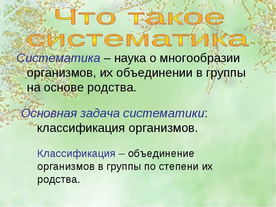 Что изучает систематика 6 класс. Систематика. систематика это наука. классификация организмов по родственным группам. систематизация организмов.