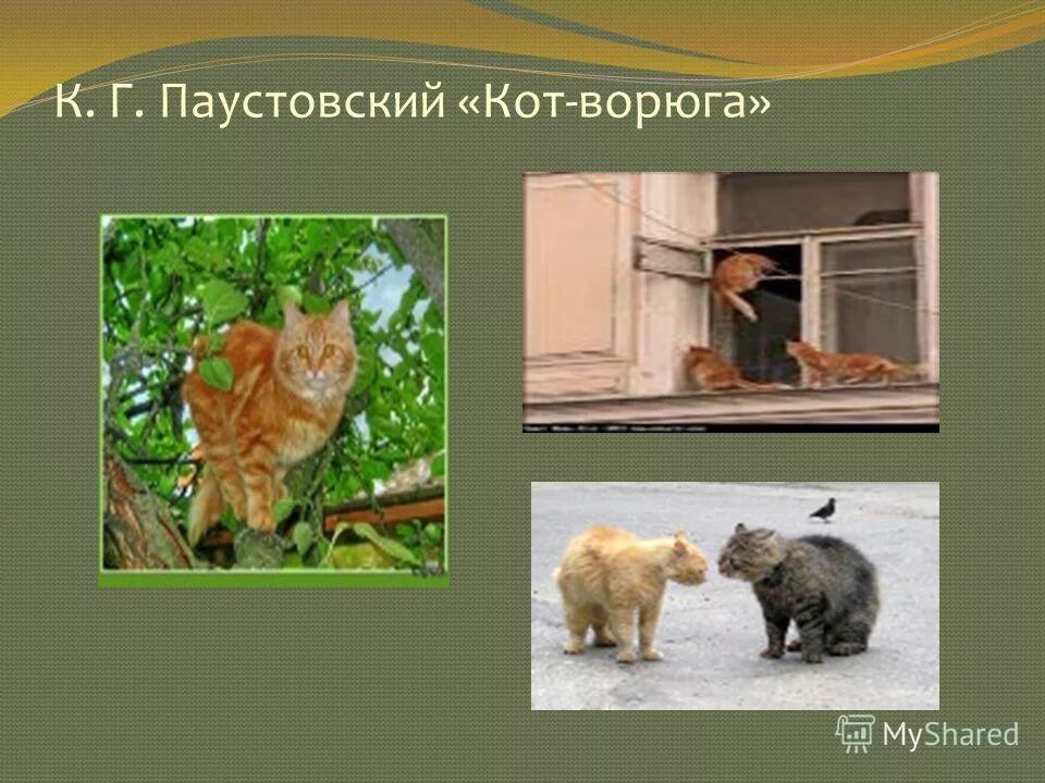 рассказ кот ворюга паустовский. паустовский кот ворюга тема. паустовский кот ворюга тема. кот паустовский кот ворюга.