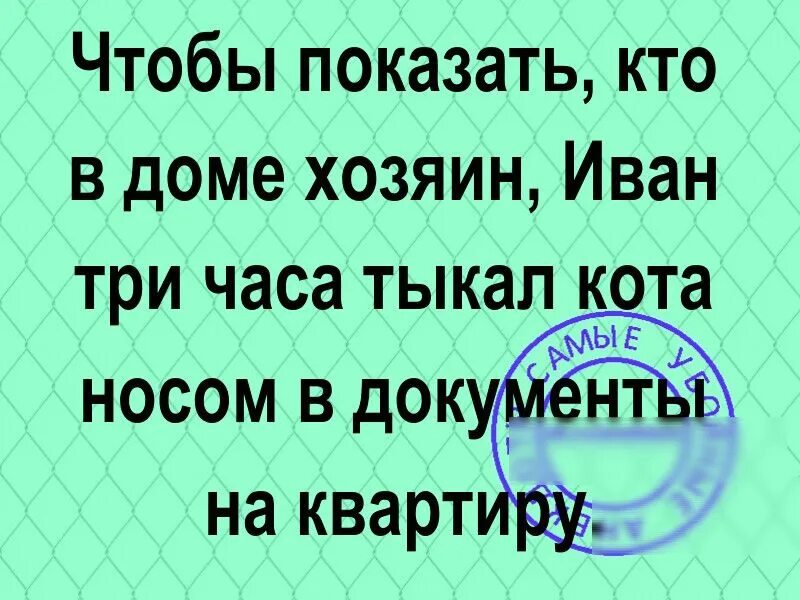 Сучек как пишется. Анекдоты хозяев. Кто в конце концов в доме хозяин я а что анекдот. Два часа тыкал уота носом/ чтоб доказатьуто в домк хозяин.