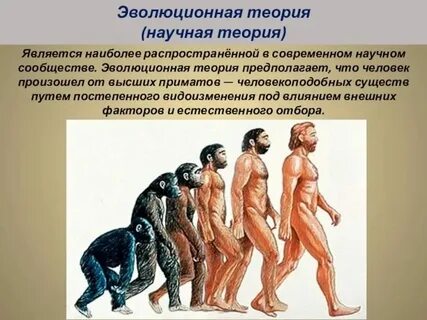 Эволюционная психология изучает