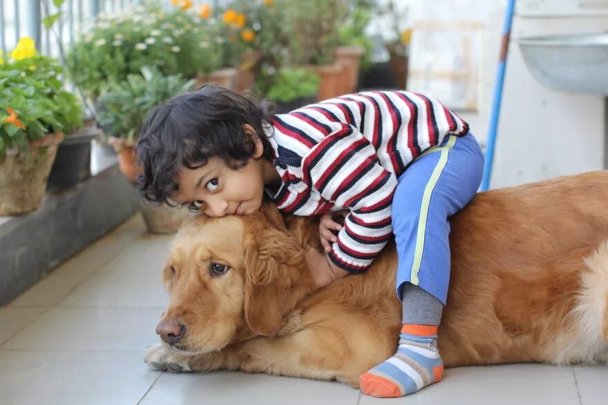 Человек ребенок собака. Маленькие дети и большие собаки. Собака для детей. Собаки для семьи с детьми. Собака нянька.