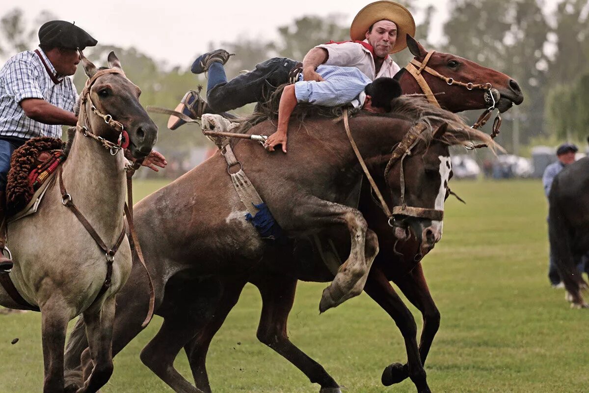 Аргентинский ковбой 5 букв сканворд. Пастухи гаучо аргентина. Ковбои гаучо. Гаучо аргенина. Пастухи гаучо аргентина.