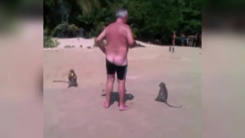 Натуристы Приколы