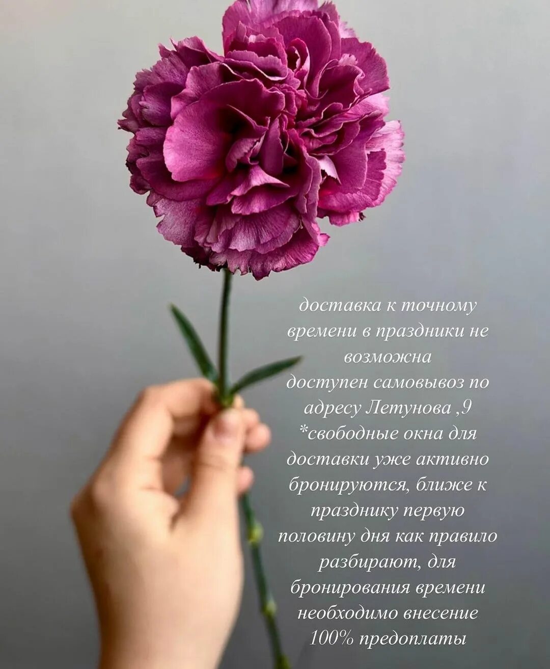 Доставка цветов реклама. Пожелания с утра счастья радости. Скоро открытие цветочного магазина. Букеты баннер. Цветы каждую неделю.